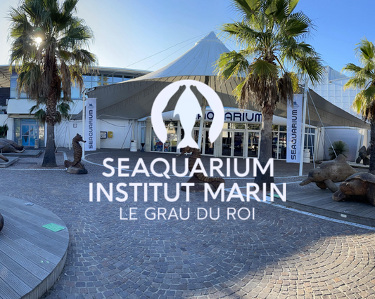 Aquarium Seaquarium Grau Du Roi