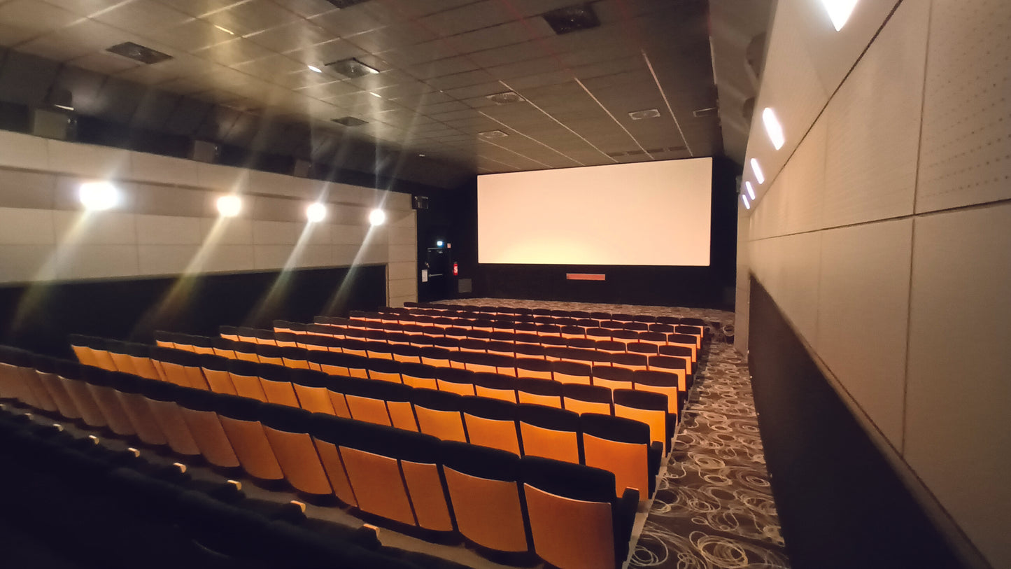 Cinéma Les Baladins Lannion Et Perros Guirec