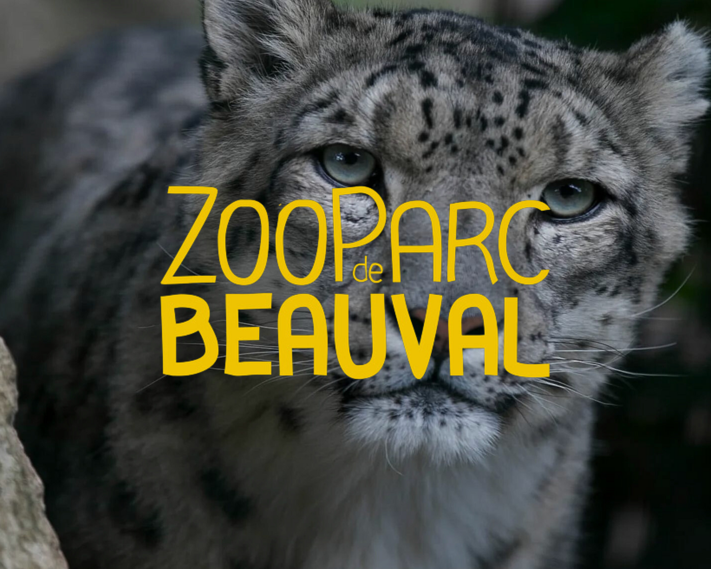 Zoo De Beauval 2 Jours