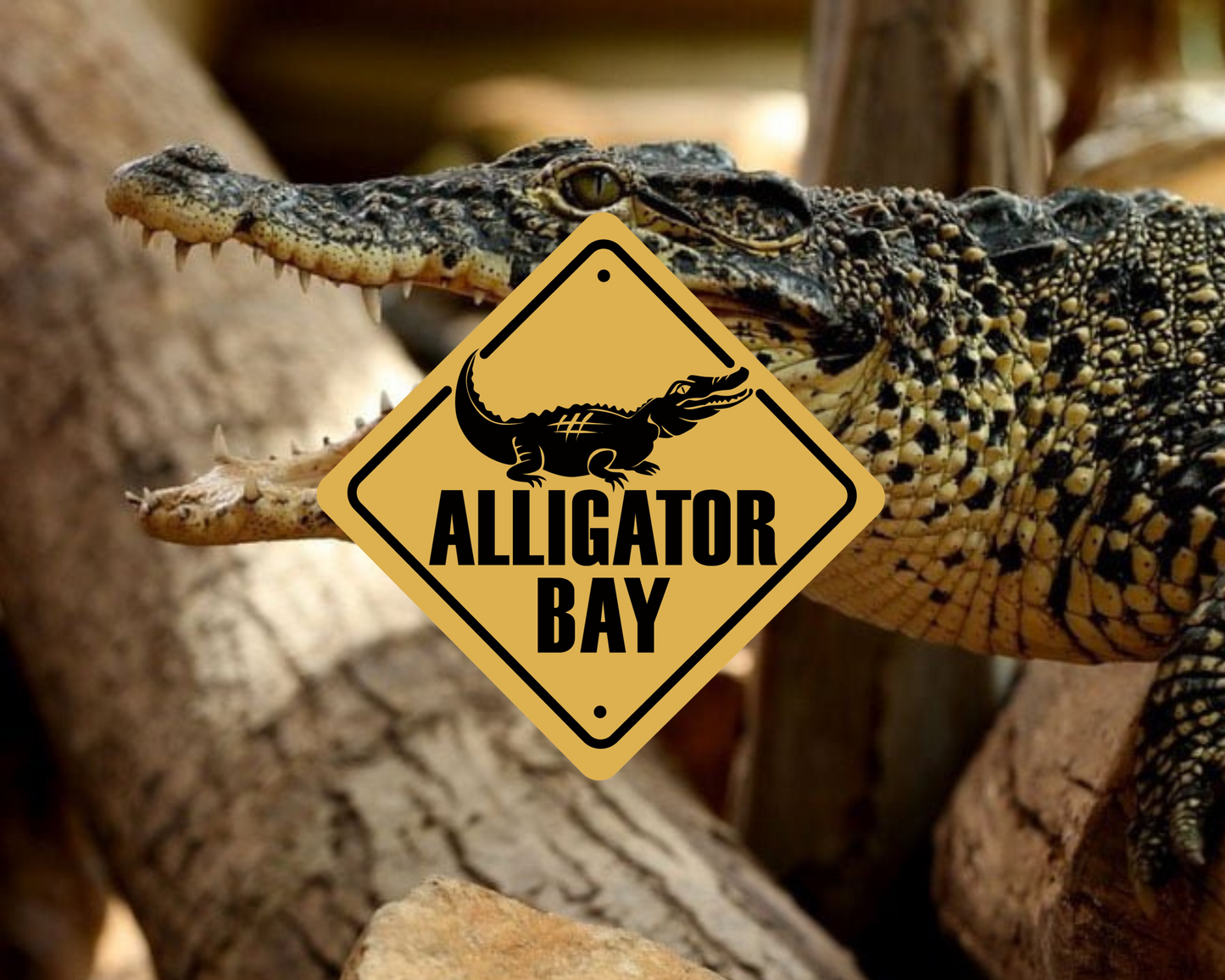 Alligator Bay