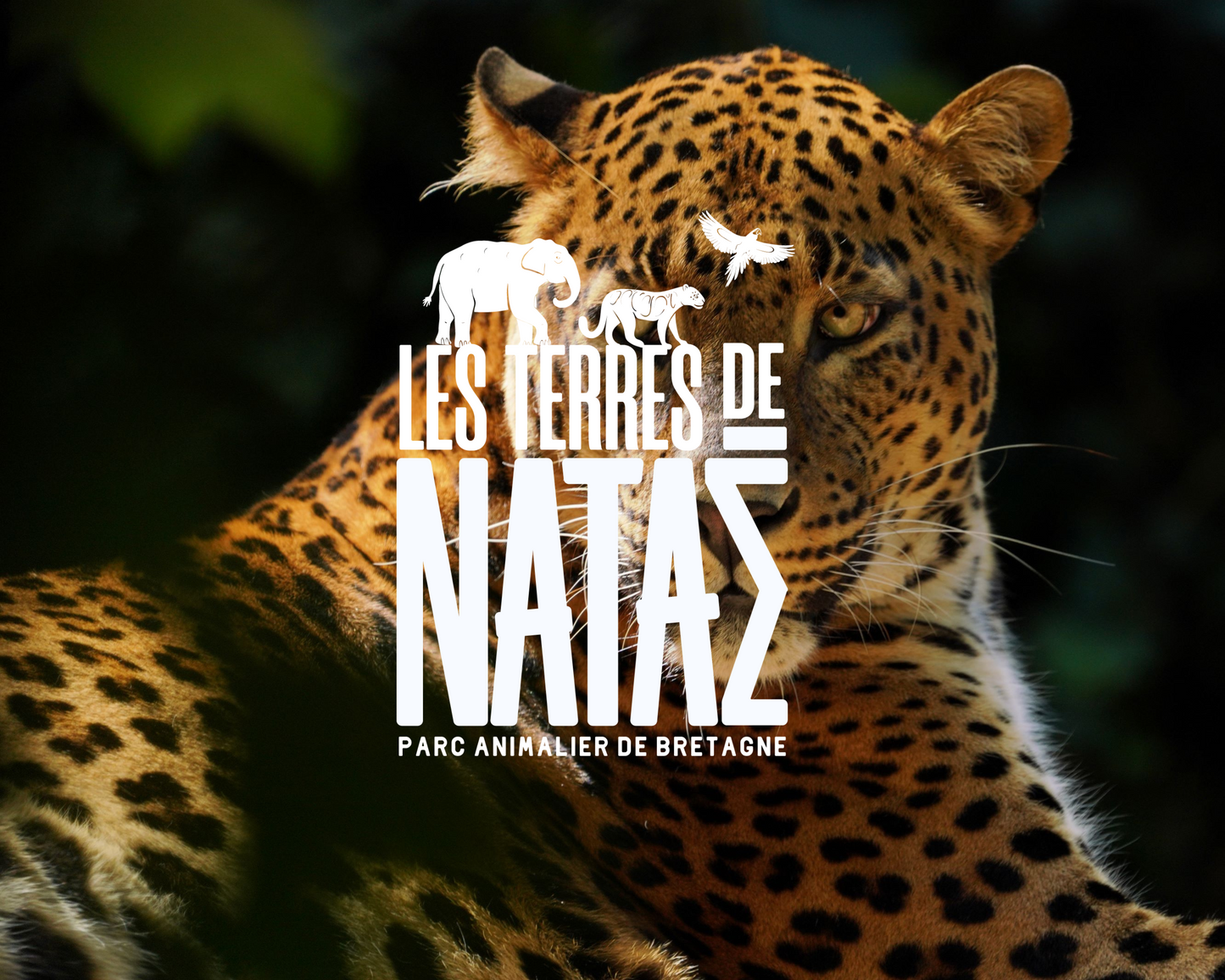 Les Terres De Nataé