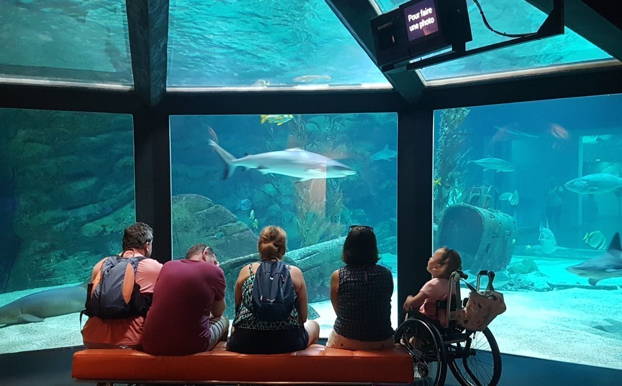 Aquarium Seaquarium Grau Du Roi