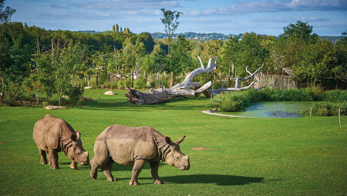 Zoo De La Flèche 2 Jours