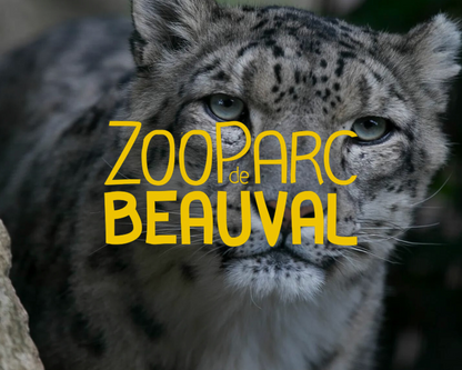 Zoo De Beauval