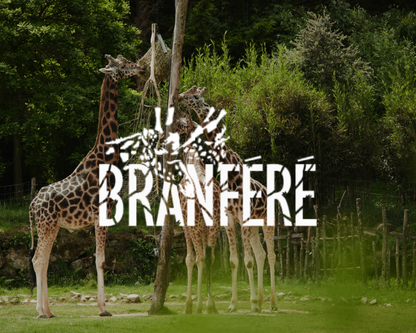 Zoo De Branféré