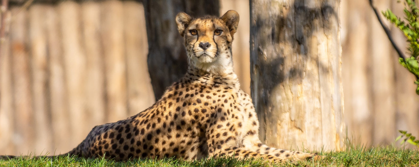 Zoo La Bourbansais