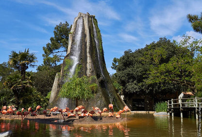 Zoo De La Palmyre