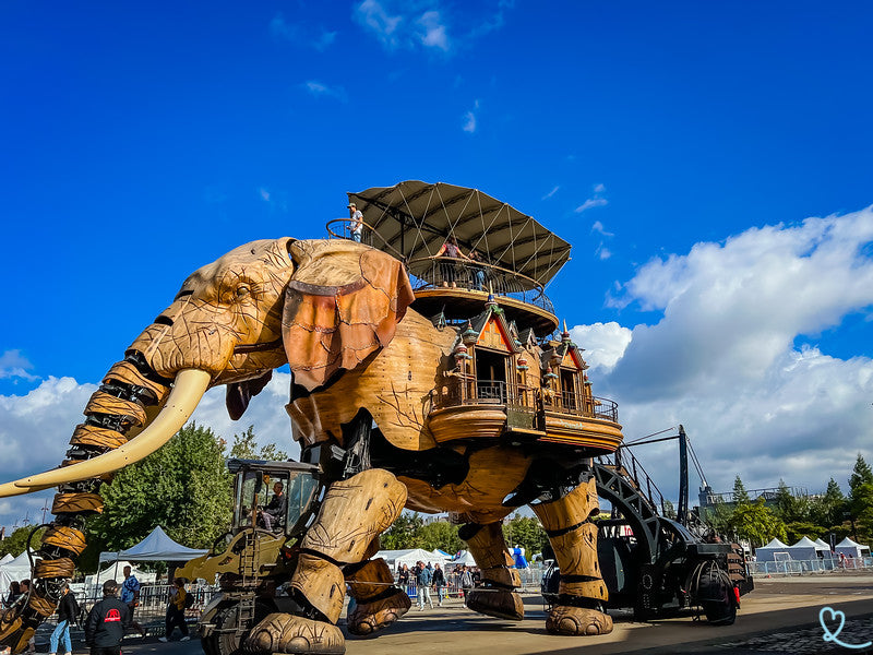 Balade en Éléphant Nantes