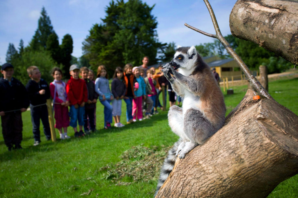 Zoo De Branféré