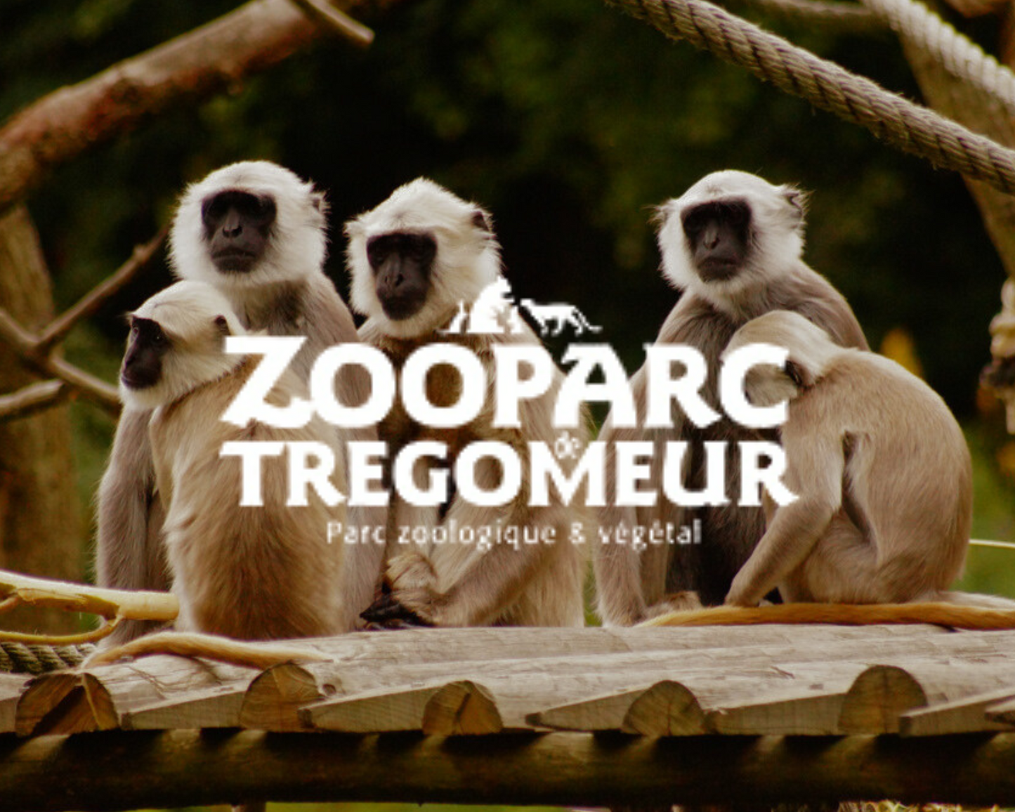 Zoo De Tregomeur